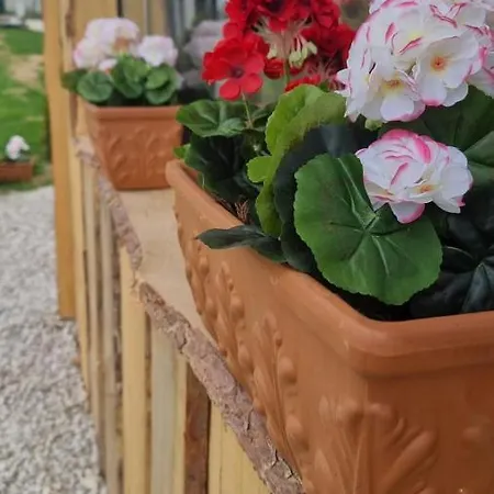 Lejlighed Romantic Jacuzzi Hideaway Near Heviz Rezi